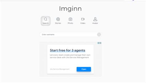 imginn org site.